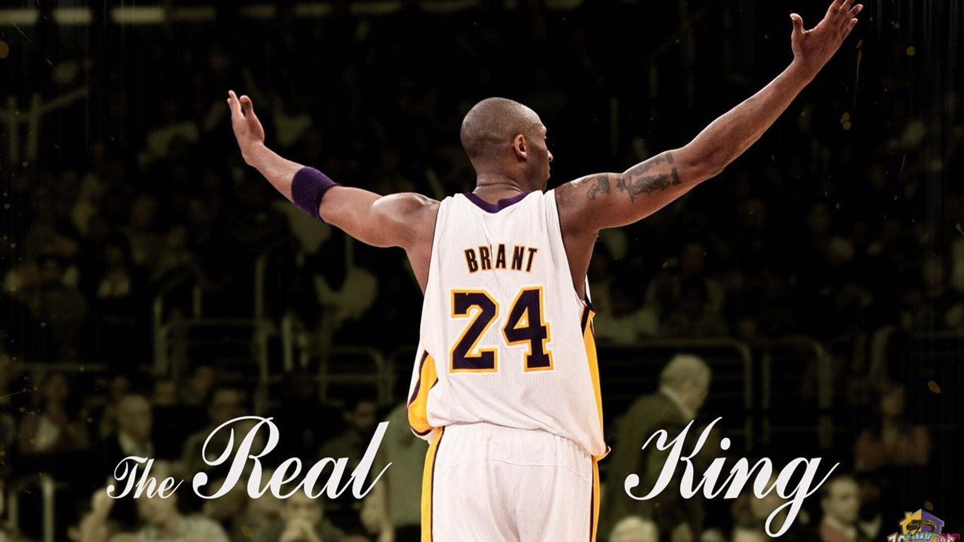 《顶级直播平台策略：如何吸引更多粉丝？》，这样直播才吸引人