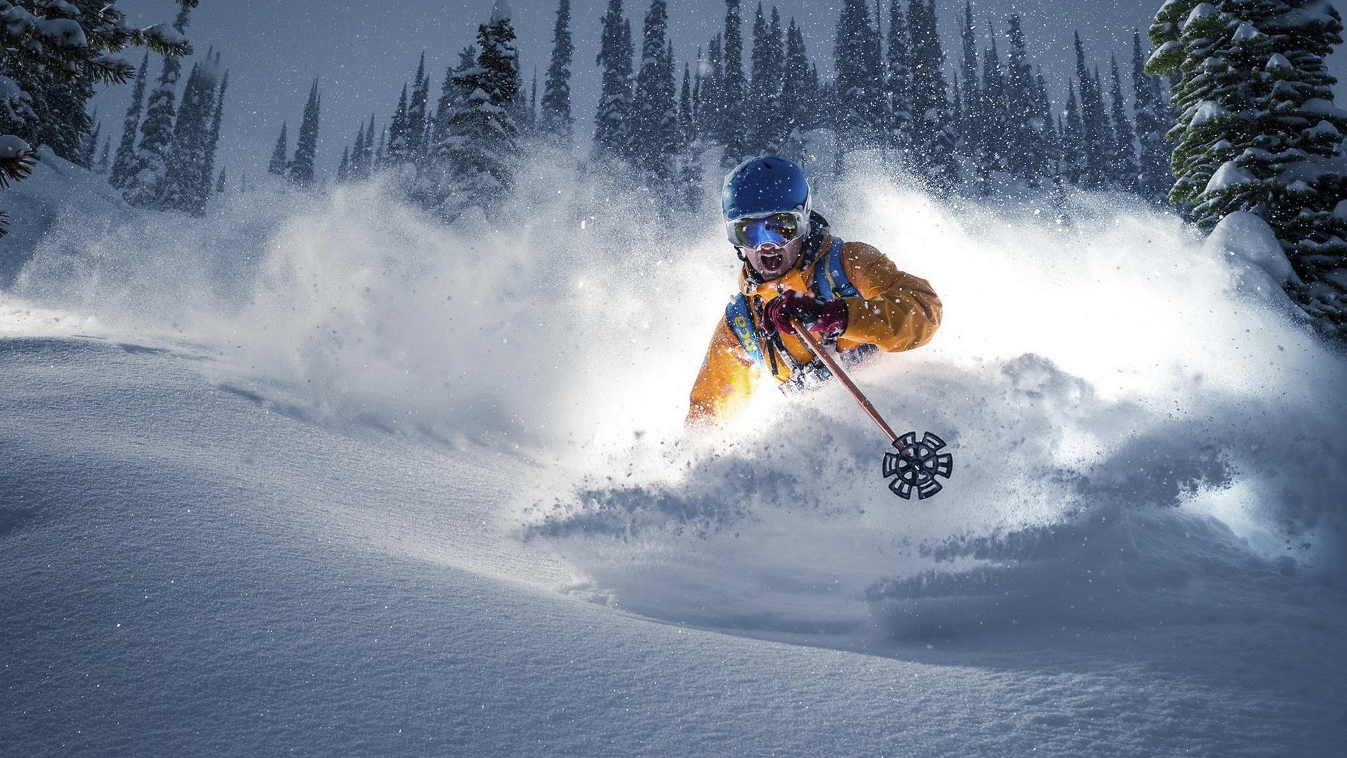 俱乐部数字会员制：权益设计与付费转化策略，俱乐部会员权利
